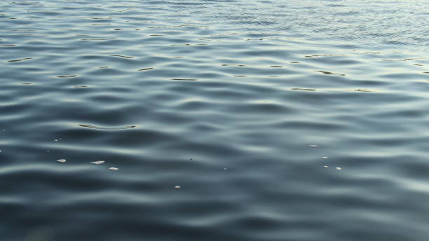 istock Close-Up Wavy Sea 1187767330