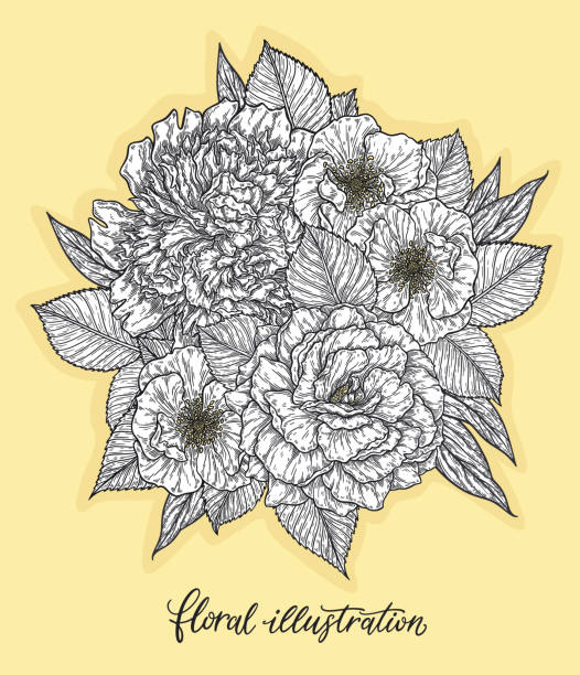 istock Rose and peonis flower hand drawn in lines. Black and white monochrome graphic doodle elements. Isolated vector illustration, template for design 1187772867