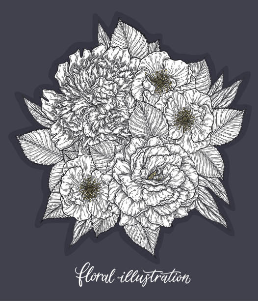 istock Rose and peonis flower hand drawn in lines. Black and white monochrome graphic doodle elements. Isolated vector illustration, template for design 1187773480