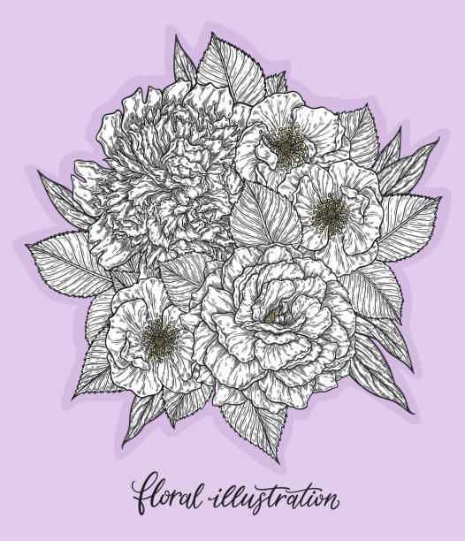 istock Rose and peonis flower hand drawn in lines. Black and white monochrome graphic doodle elements. Isolated vector illustration, template for design 1187773665