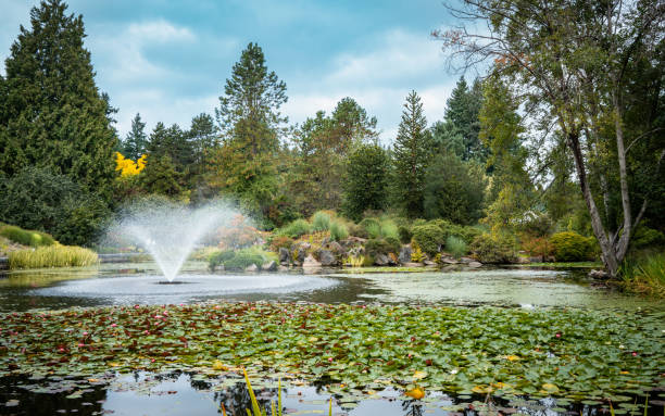 istock Fountain in the pond with green plants with cloudy sky 1187775999
