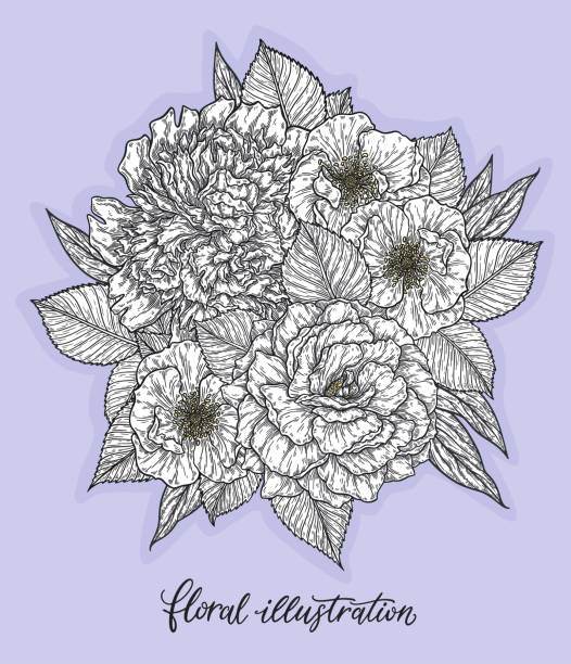 istock Rose and peonis flower hand drawn in lines. Black and white monochrome graphic doodle elements. Isolated vector illustration, template for design 1187776156