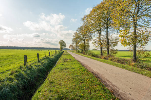 Country road in Belgium Concrete country road in a rural area near the Belgian village of Wuustwezel, province of Antwerp, Flanders region. It is a sunny day in autumn with a clear blue sky and some clouds. ditch stock pictures, royalty-free photos & images