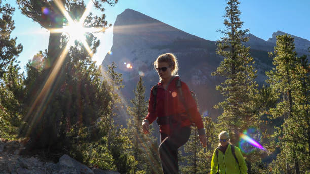 istock Female hikers ascend mountain through forest 1187779052