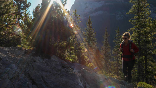istock Young female hiker ascends mountain through forest 1187779172