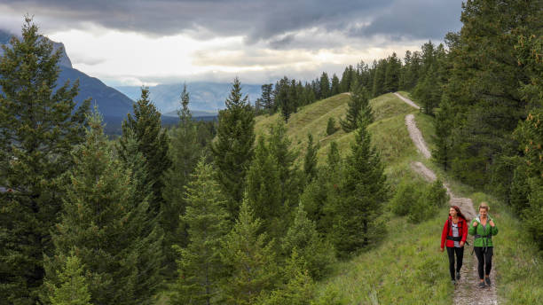 istock Young female hikers walk along forested footpath 1187779416