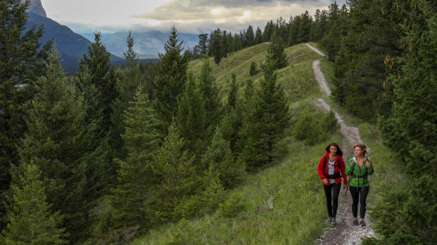 istock Young female hikers walk along forested footpath 1187779442