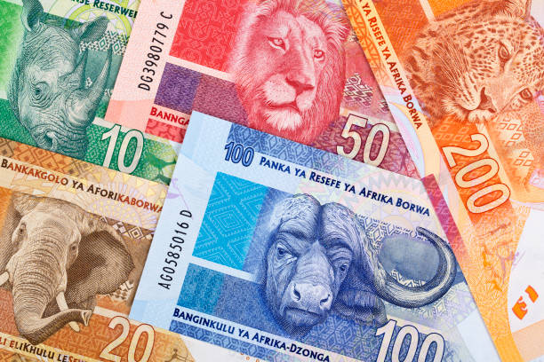 South African money a business background South African money - Rand a business background african currency stock pictures, royalty-free photos & images