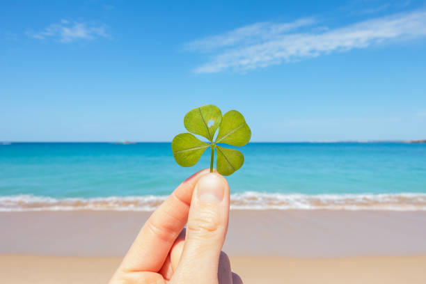 Four-leaf clover against blue lagoon Lucky charm good luck charm photos stock pictures, royalty-free photos & images