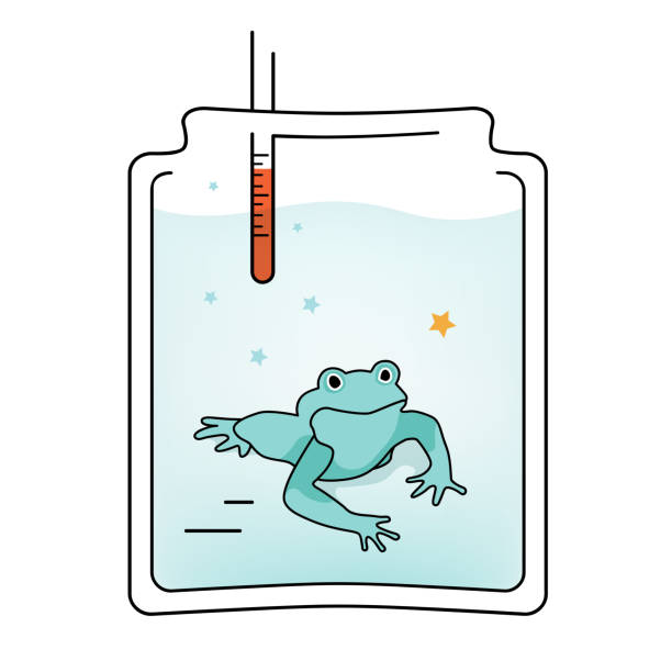 ilustrações de stock, clip art, desenhos animados e ícones de vectoro illustration boiling frog in a glass jar effect - unwillingness