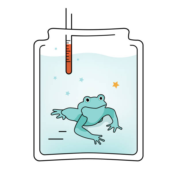 Vectoro Illustration Boiling Frog in a glass jar effect Vector Illustration Boiling Frog in a glass jar effect, gradually slowly ebullience water, psychological metaphoric concept of long suffering syndrome brain jar stock illustrations