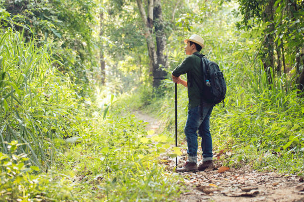istock Man in blue and backpack walks into the forest.Hiking man 1187793449