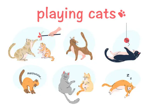 Vector illustration of Cute cats playing with each other, toy, thread ball, meowing, sleeping isolated on white background.