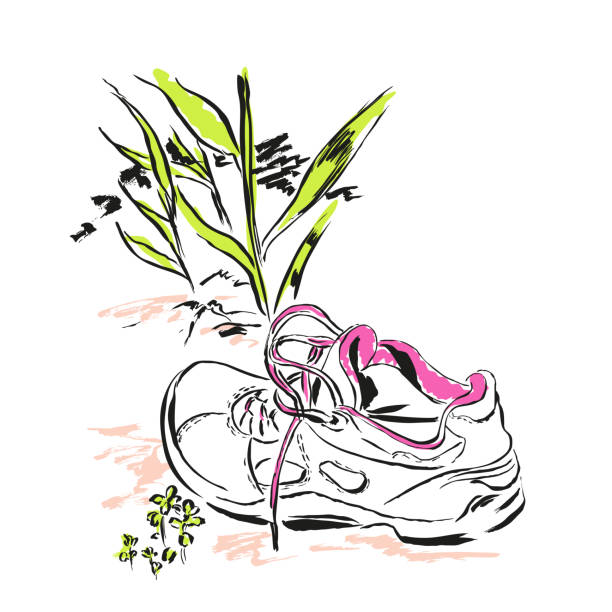 illustrazioni stock, clip art, cartoni animati e icone di tendenza di scarpa sportiva è sulla sabbia, giace nell'erba - lace pink white black