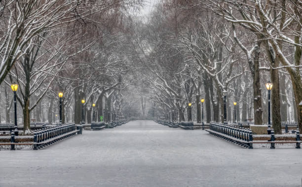 冬のセントラルパーク - snow winter bench park ストックフォトと画像