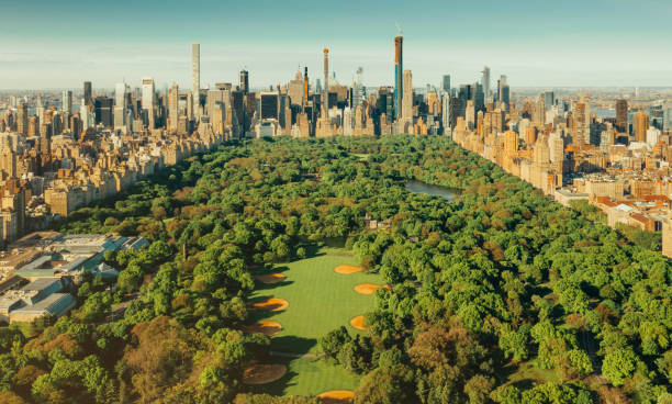 istock New York City skyline with Central Park 1187797453