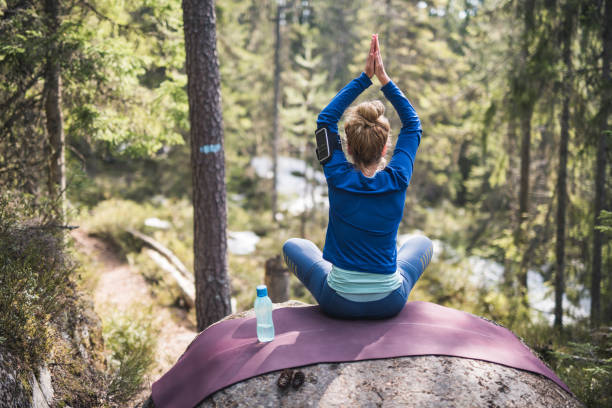 fêmea nova que faz a ioga na floresta evergreen. - stone wellbeing zen like blue - fotografias e filmes do acervo