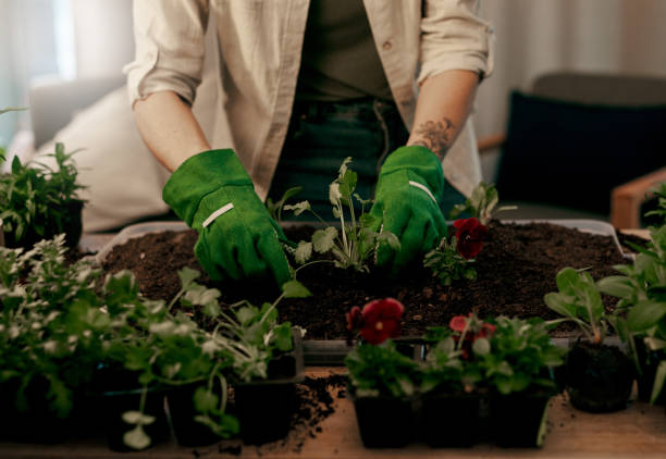 istock Growth is the one of most beautiful processes in life 1187802887