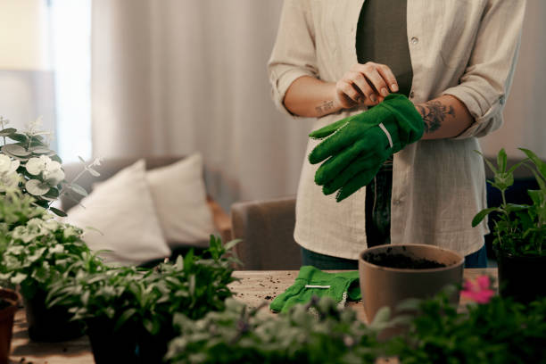 istock It's time to get my hands dirty 1187802900