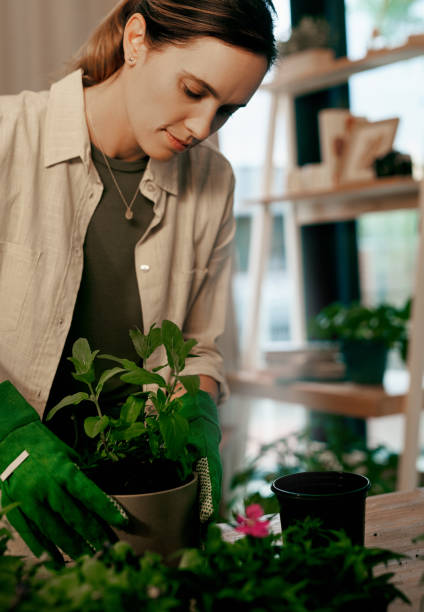 istock Working with plants is so rewarding and therapeutic 1187802907