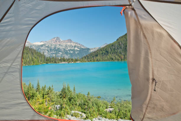 istock Hiking in Joffre lakes provincial park 1187805712