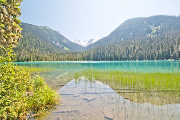 istock Hiking in Joffre lakes provincial park 1187805716