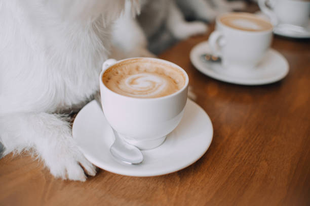 istock Cup of coffee is on the table between the dog's paws 1187806669
