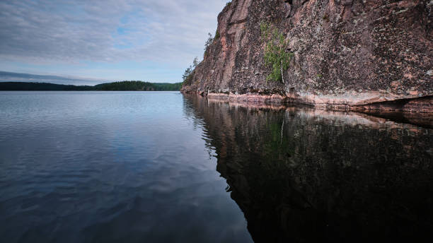 litet träd som växer ut från klippor vid en sjö - fjäll sjö sweden bildbanksfoton och bilder