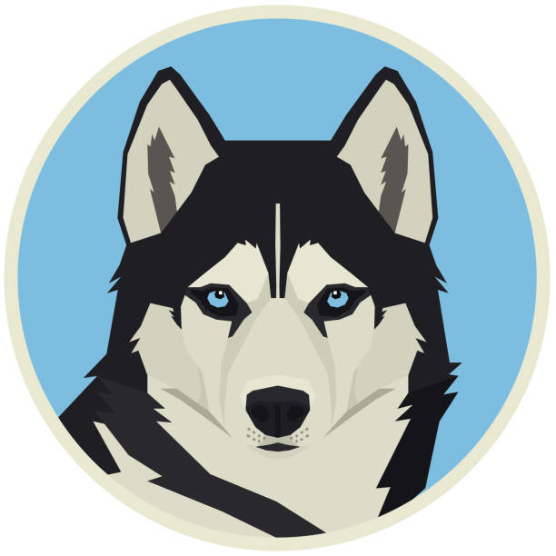 ilustrações de stock, clip art, desenhos animados e ícones de vector illustration dog collection siberian husky geometric style round frame - siberian husky