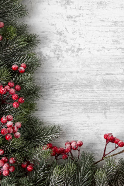 istock Holiday Evergreen Branches and Berries over Wooden Background 1187818445