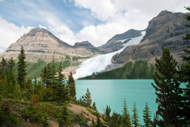istock Berg lake in Mt. Robson provincial park 1187821070