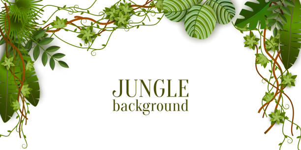 grüne dschungelpflanzen hintergrund hängen von oben, tropische exotische palmblätter und lianenzweige - liana cartoon bush tropical climate stock-grafiken, -clipart, -cartoons und -symbole