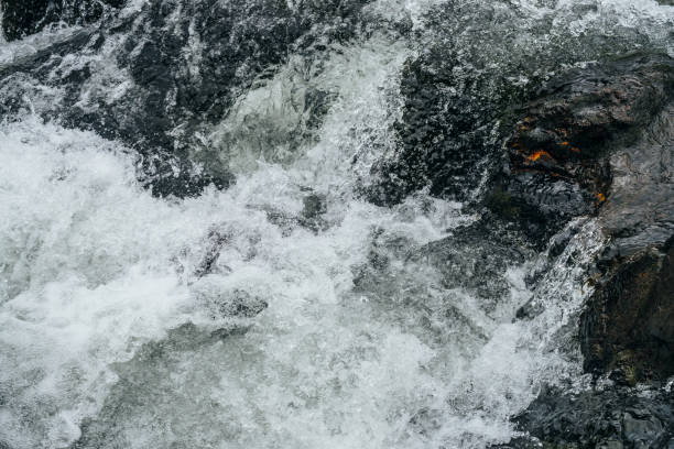 istock Powerful water stream of mountain creek with rapids. 1187824492