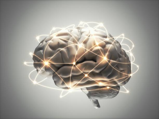 inteligencia artificial - cerebro humano fotografías e imágenes de stock