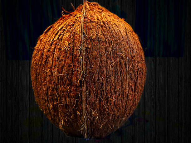 Beautiful coconut isolated on black textual background.