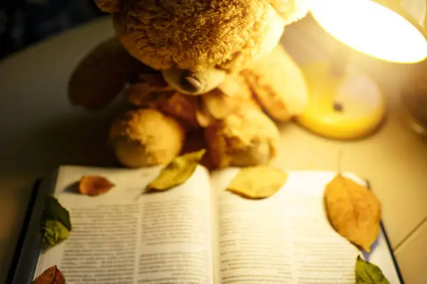 Teddy bear reading a book at the nightlight at the table