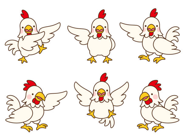 Six poses illustration set of chickens This is an illustration set of chickens in six different poses. rooster open wings stock illustrations