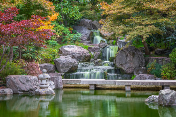 autumn season, waterfall kyoto garden at public holland park in london - japanese culture landscape landscaped ornamental garden imagens e fotografias de stock