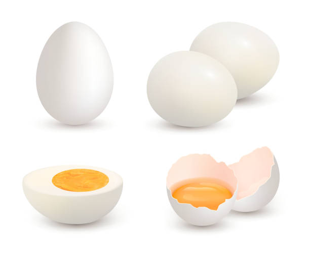 illustrazioni stock, clip art, cartoni animati e icone di tendenza di uova realistiche. fattoria naturale sana tuorlo alimentare fresco e proteine vettore incrinato guscio uova di gallina - uovo