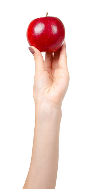 istock Red ripe apple, healthy fruit. Fresh healthy snack. 1187840468