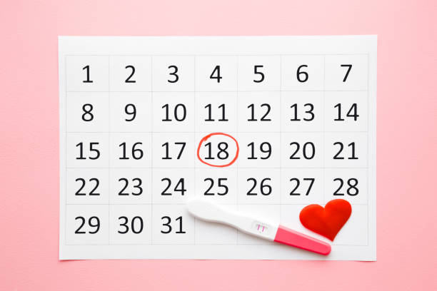 kalender, rood hart en zwangerschapstest met twee strepen op pastel roze achtergrond. positief resultaat. close-up. top down view. - pregnant count stockfoto's en -beelden