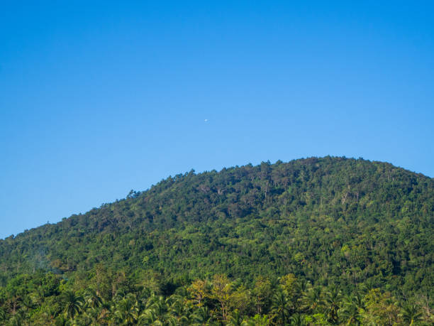 istock hills in the jungle with clouds in Thailand 1187843351