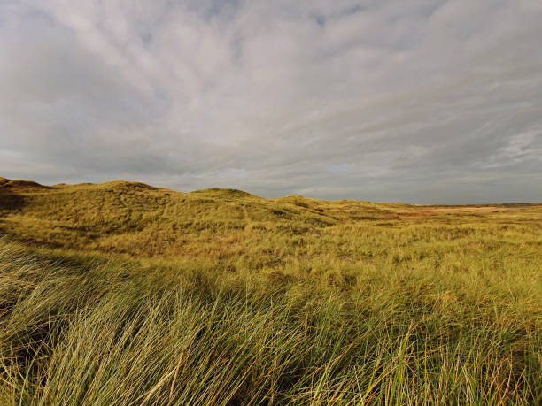 istock scenic view of dunes against sky 1187843396
