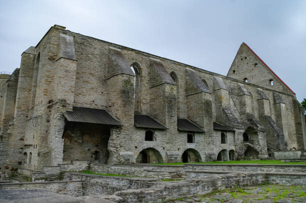 antico convento in rovina di santa brigitta nella regione di pirita, tallinn, estonia - estonia tallinn old ruin ruined foto e immagini stock