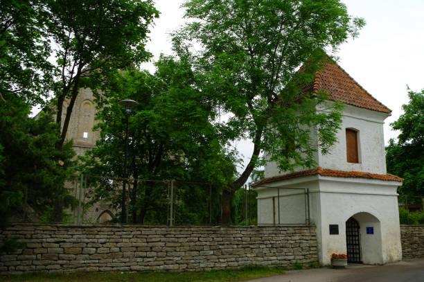 ingresso al convento medievale in rovina di santa birgitta nella regione di pirita, tallinn, estonia - estonia tallinn old ruin ruined foto e immagini stock