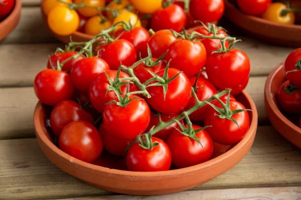 istock A bunch of red tomatoes in a clay plate 1187849981