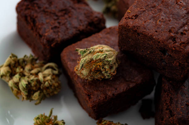 marijuana commestibile per il trattamento del dolore cronico, dieta di medicina alternativa e tema del concetto di erba legale con primo piano su boccioli di cannabis e deliziosi brownies - hashish foto e immagini stock