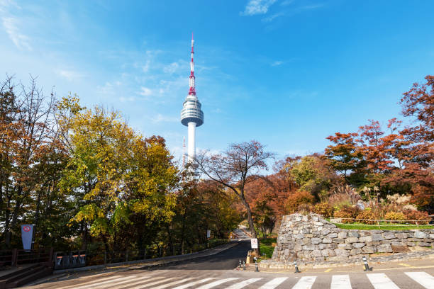 N Seoul Tower in Autumn Seoul South Korea long shutter speed stock pictures, royalty-free photos & images