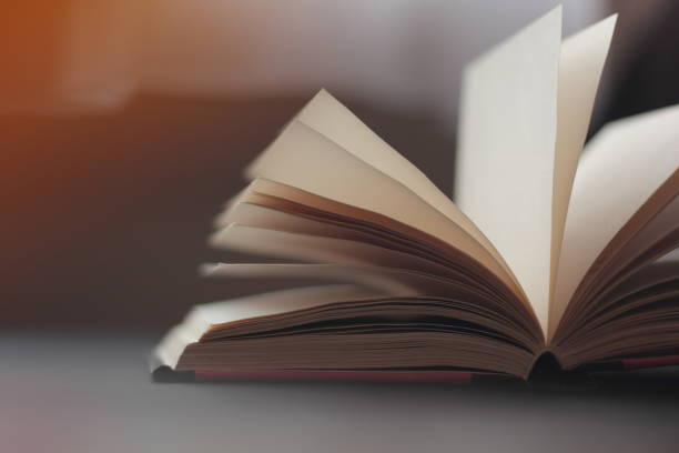 istock Closeup of an open book 1187856315