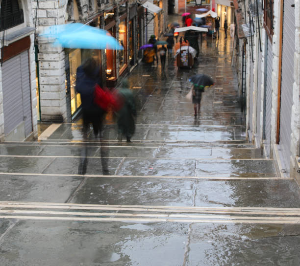 istock umbrellas in Rialto Bridge in Venice while raining 1187856631